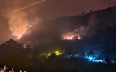 Secretaría de Riesgos actualizó cifras del impacto de los incendios forestales en nuestra provincia