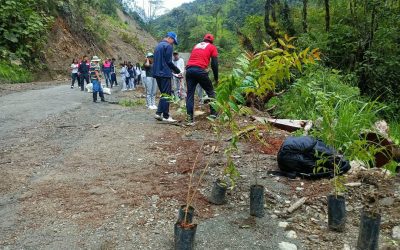 Zamora fomenta colaborativismo interinstitucional y ciudadano en provecho del medioambiente