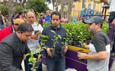 El gobierno provincial de Loja promueve la caficultura y la reforestación en Celica