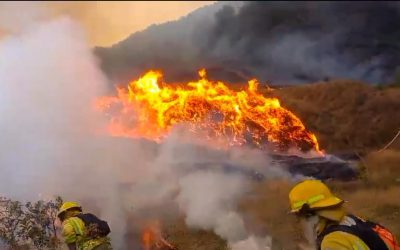 Definirán plan estratégico para reforestar áreas incendiadas en San Pedro de Vilcabamba