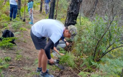 Scouts lojanos colaboran con el medio ambiente mediante la reforestación de áreas quemadas