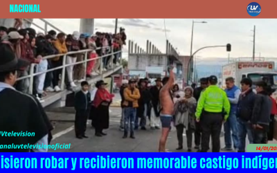 Quisieron robar y recibieron memorable castigo aplicado por la justicia indígena