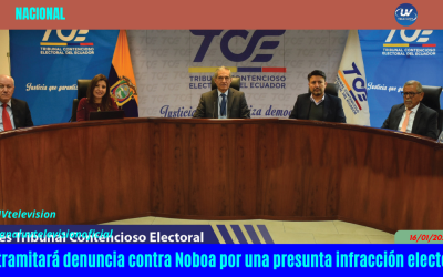 TCE tramitará denuncia contra Noboa por una presunta infracción electoral
