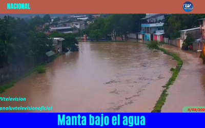 Manta bajo el agua