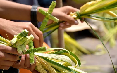 Reactivan campaña de protección ecológica propia de Semana Santa