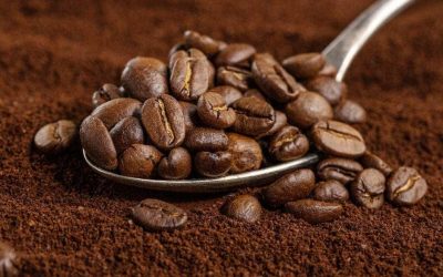 Loja tiene ya su “Ruta del café”