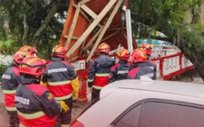 Puente peatonal afectado por caída de árbol